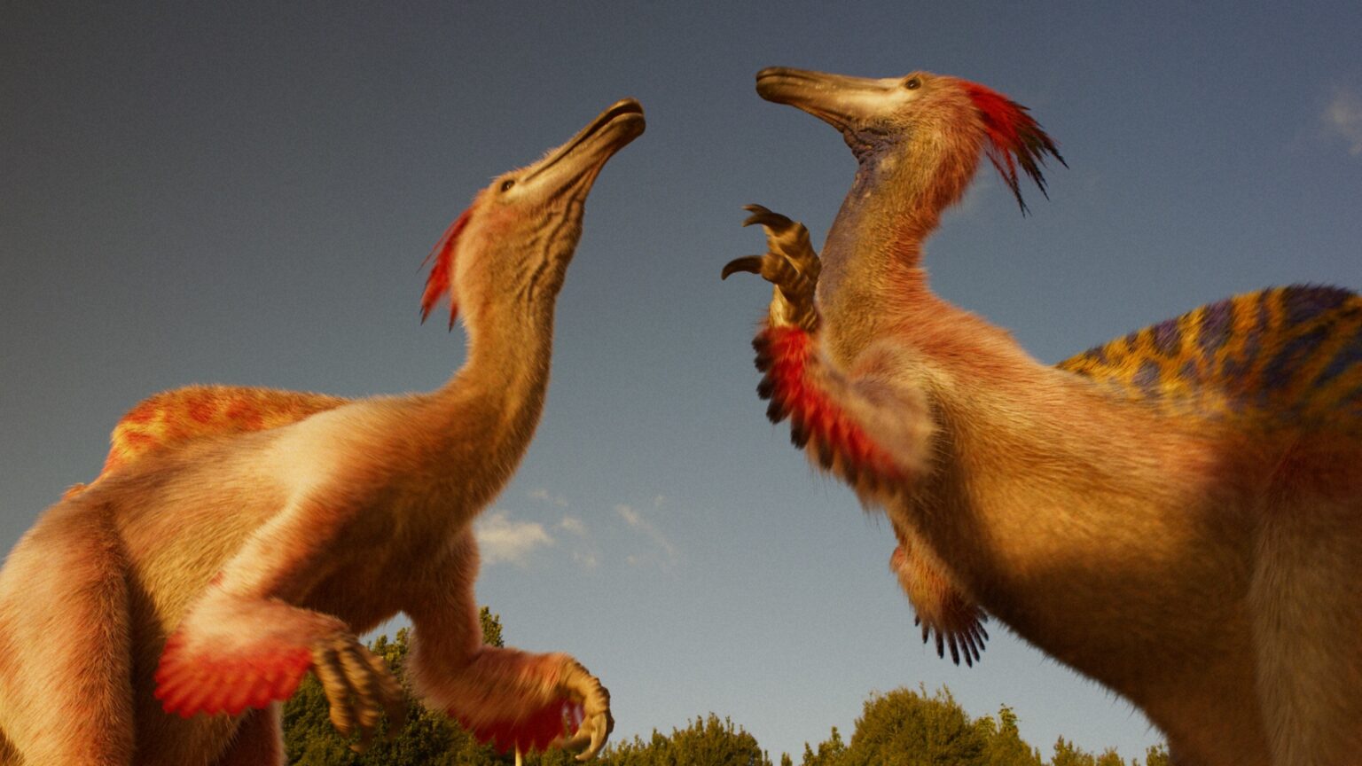 2 3 21 3 26 2-3-21-3-26